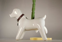 Cargar imagen en el visor de la galería, Anselmo & The plant® Ceramic Pot "Albino Flare"