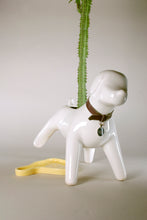 Cargar imagen en el visor de la galería, Anselmo & The plant® Ceramic Pot "Albino Flare"