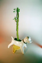 Cargar imagen en el visor de la galería, Anselmo & The plant® Ceramic Pot "Albino Flare"