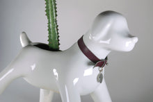 Cargar imagen en el visor de la galería, Anselmo & The plant® Ceramic Pot "Albino Flare"