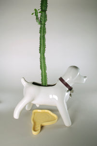Anselmo & The plant® Ceramic Pot "Albino Flare"