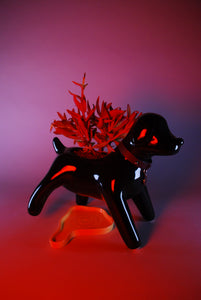 Anselmo & The plant® Ceramic Pot "Dark Matter"