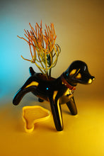Cargar imagen en el visor de la galería, Anselmo &amp; The plant® Ceramic Pot &quot;Dark Matter&quot;
