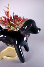 Cargar imagen en el visor de la galería, Anselmo &amp; The plant® Ceramic Pot &quot;Dark Matter&quot;
